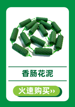 5.4Lucy热卖推荐-4