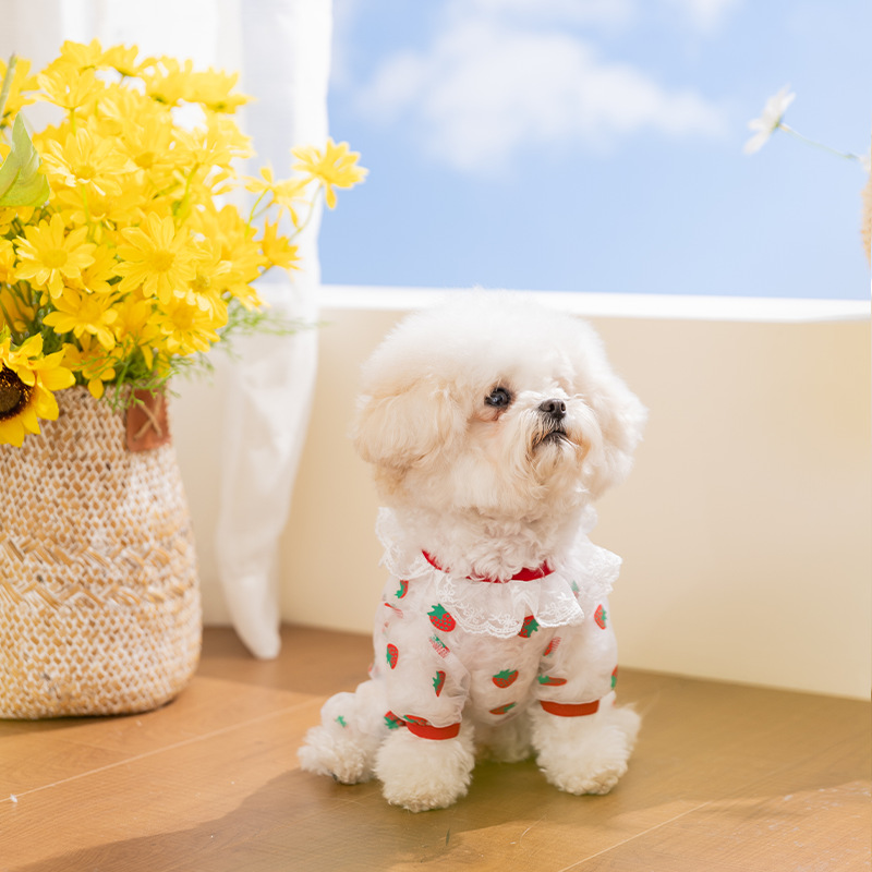Primavera y verano impresa delgada fresca y transpirable tela de malla de cuatro patas que osos peluche ropa de perro y gato ropa de mascotas al por mayor image 4