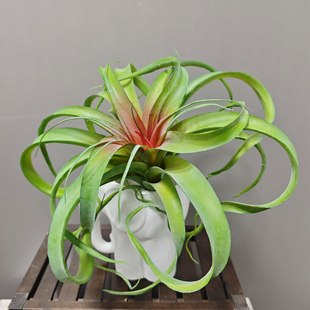 ����ֲë�՚��P��ٶ���ֲ��՚��С���٠�����������}�bٻ�