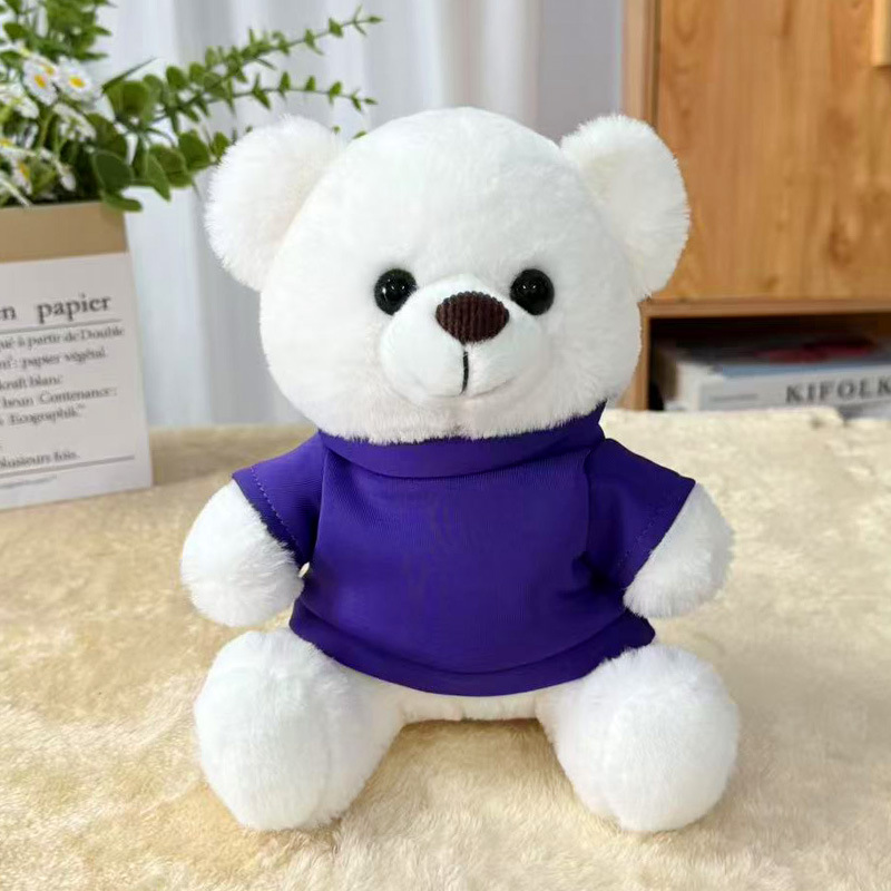 Suéter transfronterizo Teddy Bear muñecas muñecas juguetes de peluche actividad de publicidad LOGO impresión regalos de graduación escolar
