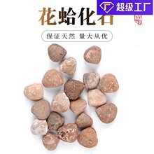 ��Ȼ����ʯ�˱������������|���ս̌W�˱��������ʯ�^ԭʯ