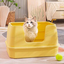 ؈ɰ�����]؈������̖؈ɳ����ȫ�_��ʽ؈ʺ��P؈����Ʒ���l