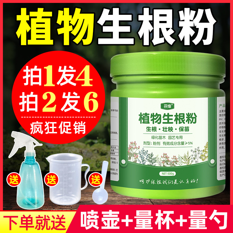 Roots root Plants Plant cuttings Cuttings Cutting Roots strong…