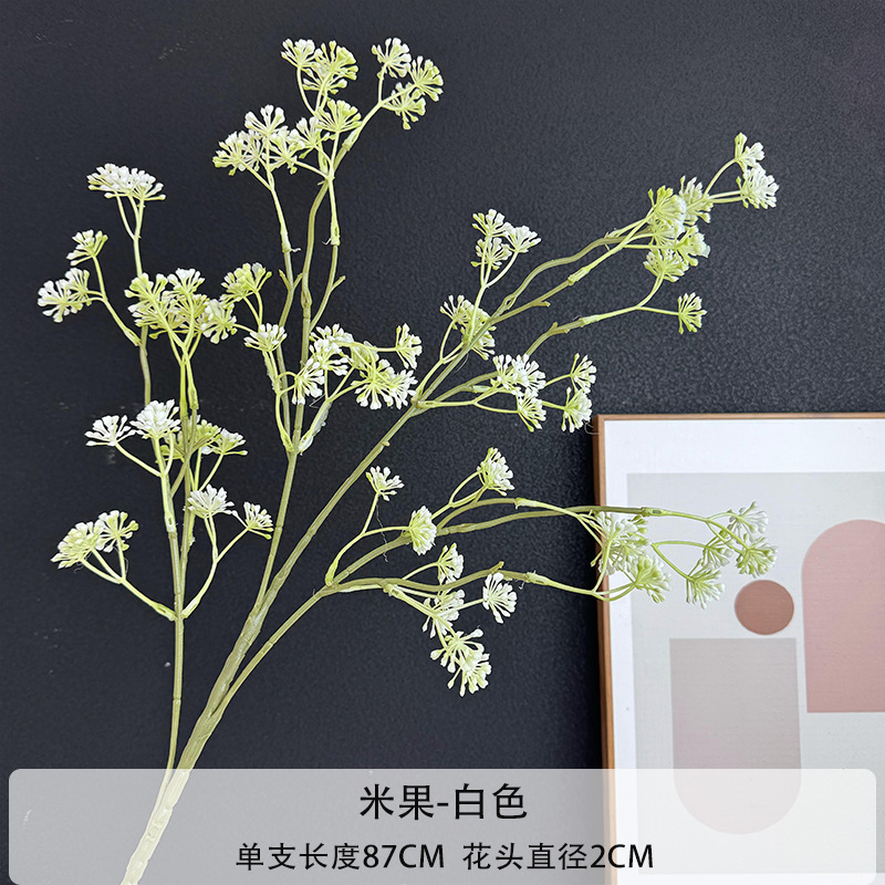 화이트