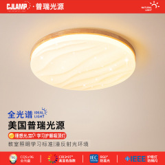Full Spectrum LED Flush Mount Light Nordic Oak Living Room Lamp Pure Lens Eye Protection Simple Japanese Room Bedroom Lamp