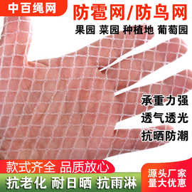 防雹网 果树蔬菜大棚防雹网防冰雹葡萄樱桃防护网树葡萄防雹网