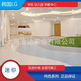 批发韩国LG纯色PVC地板 幼儿园塑料地板 游乐场早教中心pvc地胶