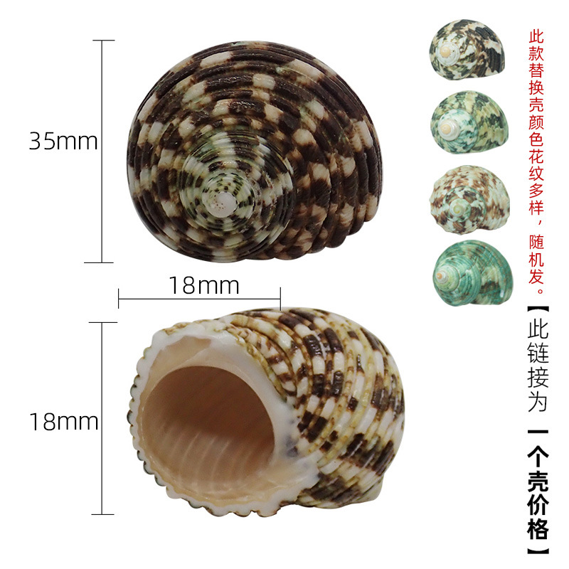 X02 다채로운 달팽이는 3-4cm 크랩에 적합합니다.