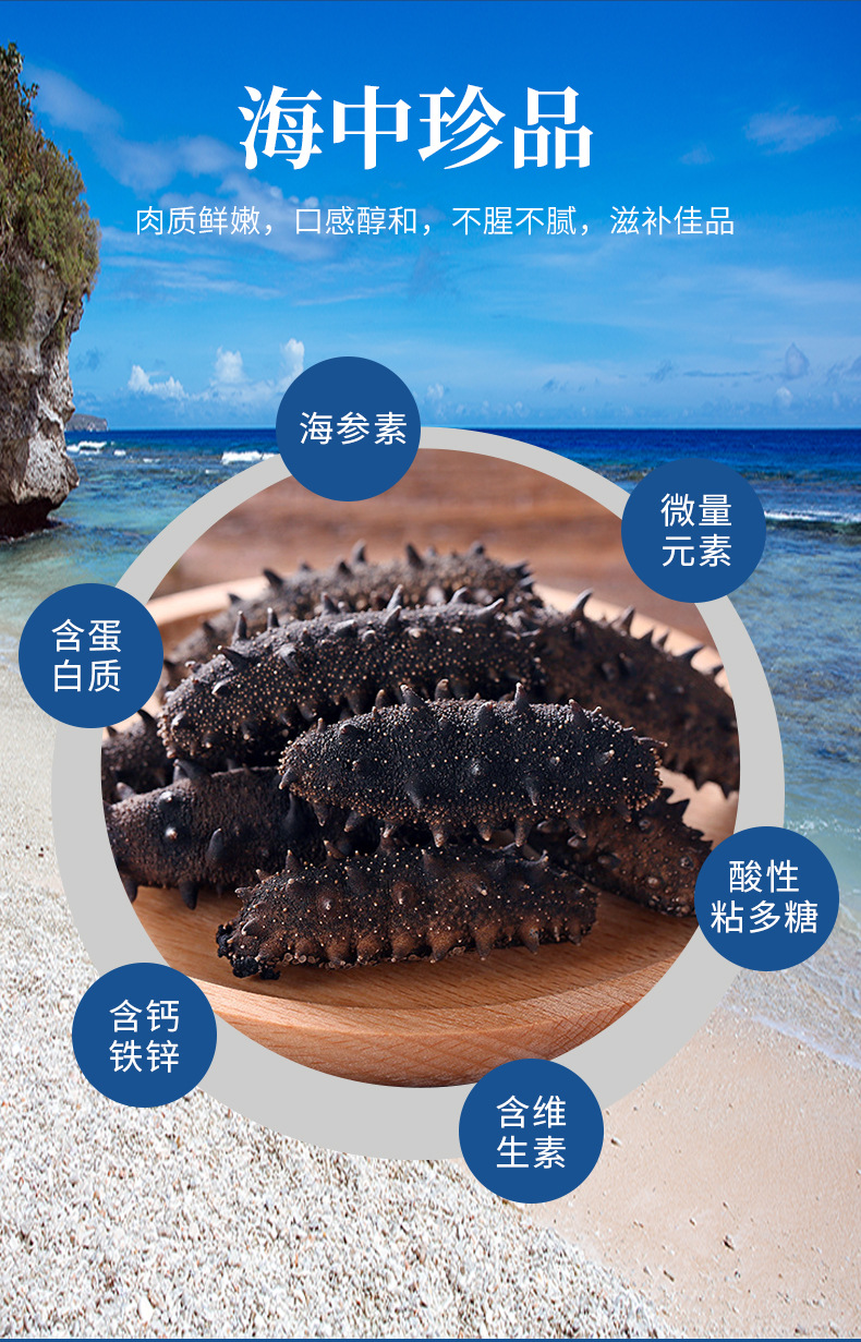 淡干海参-(1)_14