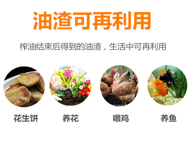 QQ截图20220402154030_副本