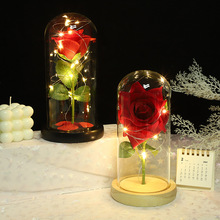 ˹Yɻõ廨ledСҹ[ŮѰСYƷl