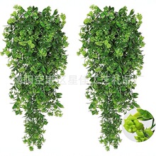 �羳���R�d�������ّҒ�Gֲ�����bҾӿ͏d�҃ȑ�����@����