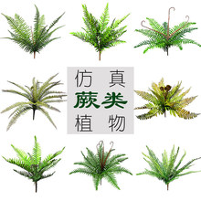 ާ��쾰ֲ�����Iާާ���ָ�ܛ�z���g�b�ֲ��Ĕz�������