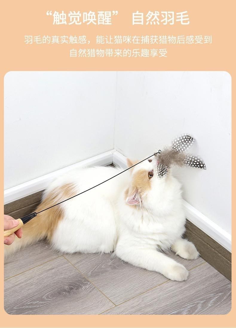 bc07470d-2020-4d64-a115-8ea883afb334.jpe