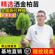 ؘɰľԵԻͥԺGֲSԭɱ