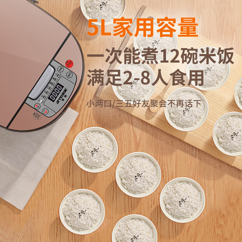 正半球炊飯器家庭用3リットル4リットル5リットル知能蒸煮スープ小型多機能炊飯器2-3-6人|undefined