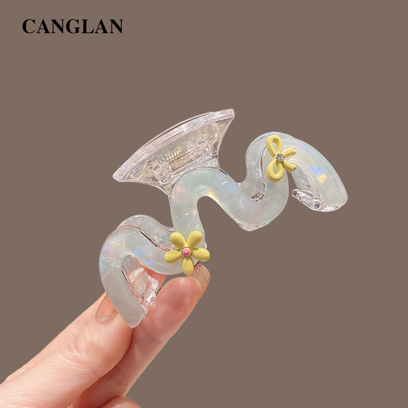 Colorful m Acrylic Hair Clip, Simple Shark Clip, Ponytail Clip, Large Hair Clip, Elegant Claw Hair Accessory