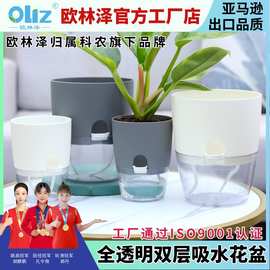 跨境欧林泽花盆自吸水懒人花盆家用树脂花盆透明双层花盆多肉花盆