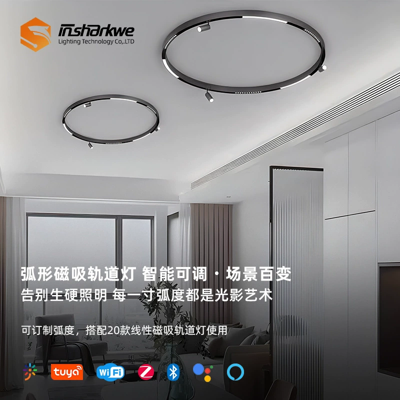 Круглый магнитный трековый светильник, встраиваемый или накладной, с настраиваемым изогнутым кольцом, без основного светильника, подвесной, из литого алюминия.