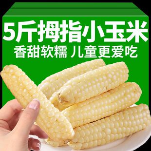 ĴָС����������r������ŴС��ָ�������״������e��ʳ�������l