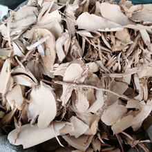 野生东风桔根中药材野生酒饼橘根金橘根山金桔柑子
