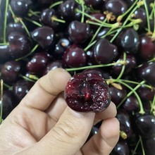 �����M�ڿ��\܇����6J���ҡ�SF��؛���ҡ�1-5���ͶYˮ�����a