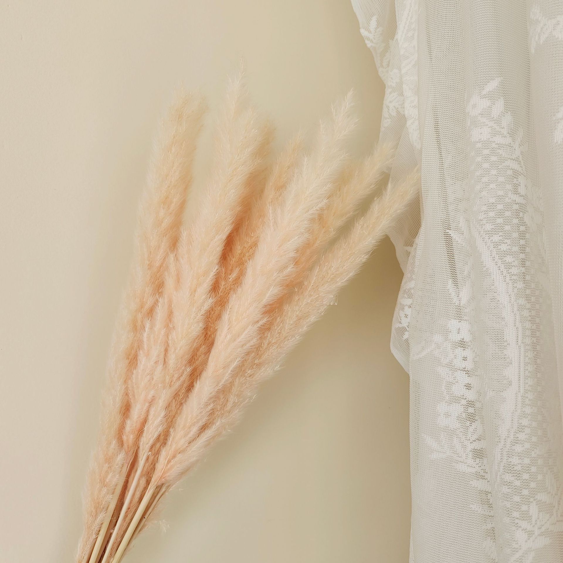 고기가루 15가지