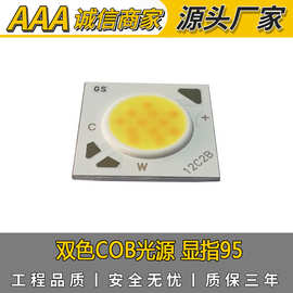 供应CSP双色5W至36W COB大功率光源 现货高亮度 智能调光COB灯珠