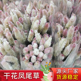 ���^�Pβ�ɻ�С������ˇdiy�廨���滨�ҾӔ[�O���W�W�tins�L����