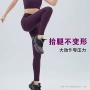 高腰高弹速干提臀瑜伽裤