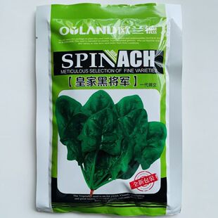 �W�m�²��˷N�Ӽ�A�~�������~ɫ��Gֱ���Ժ��L�ݏ��s��һ������