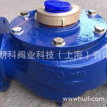 �S��ֱ�N�ʿ��� LXS����ʽ�����ˮ��DN100