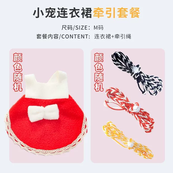 Pet dress M size + guinea pig leash))&&