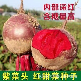 �t����^�N���ϲ��^�ļ��߮aˮ��߮a����}���N���̨���}�����