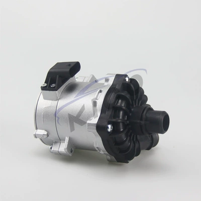 Electronic water, Water pump