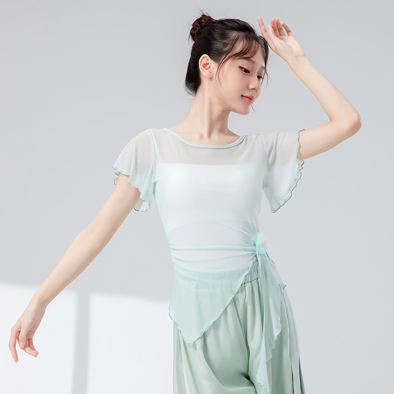 古典舞蹈服女新款钉花飘带修身短袖网纱花朵上衣飘逸演出练功服装|undefined