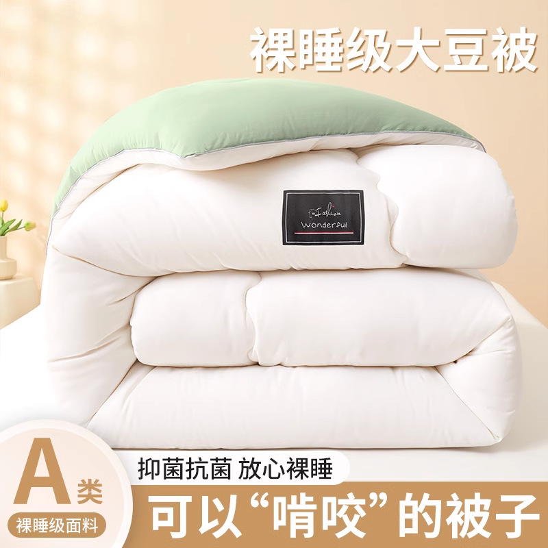 Edredón de fibra de soja grueso y cálido núcleo de edredón otoño e invierno temporada dormitorio individual 2025 nueva ropa de cama