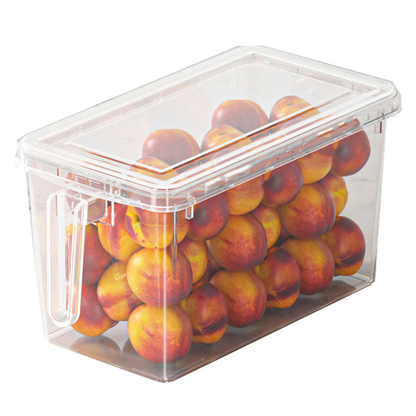 Refrigerator Storage Box Fresh-keeping Box for Eggs, Vegetables and Fruits Food Grade Storage Box for Freezing Special Kitchen Finishing Artifact