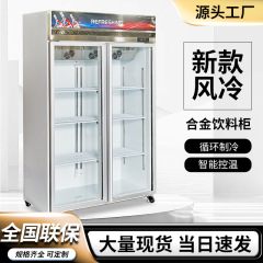 ビールキャビネット、飲料キャビネット、ワインディスプレイキャビネット、冷蔵インターネットセレブ冷凍庫、業務用冷凍庫、シングルドア、ダブルドア、スリードアバー