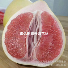 ���ڼt�����Ә������������֏V����ɳ����ͥԺ�޽��Ϸ��Nֲˮ��