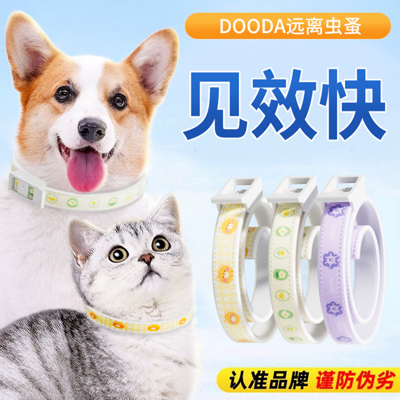 Collar repelente de insectos para gatos