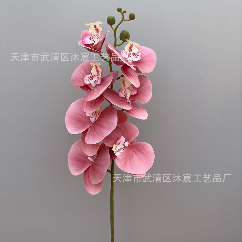 3D 7-cabeza Phalaenopsis mano-sensación de película Phalaenopsis venta al por mayor boda hogar decoración floral tiro flor material