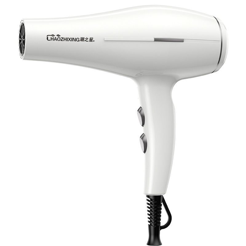 [차오지싱 화이트] 블루라이트 주파수 변환 헤어 케어 강력한 바람