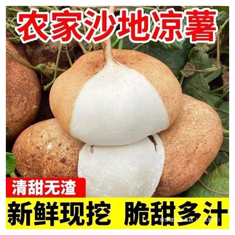 新鲜凉薯9斤广西水果生吃特脆甜地萝卜1/3/5斤贵州沙地葛薯白地瓜