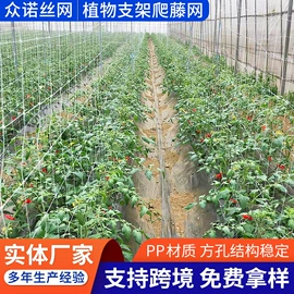 农业塑料网;不锈钢网;林业副产品