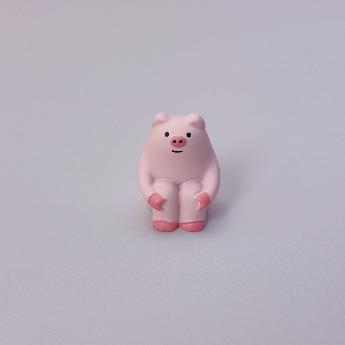 다리를 껴안고 있는 돼지