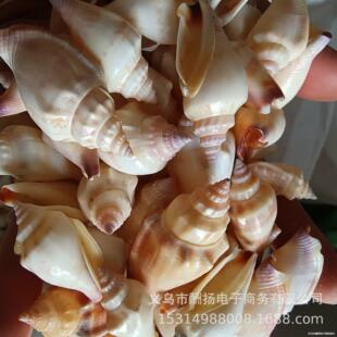 ��Ȼؐ������ 3-4cm���P����  �ֹ�diy���� �~�׼Ҿ� С����ؐ��