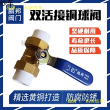 �i���p����S�~���yPPRˮ��������^����4��20�_�P6��25�y�T���y