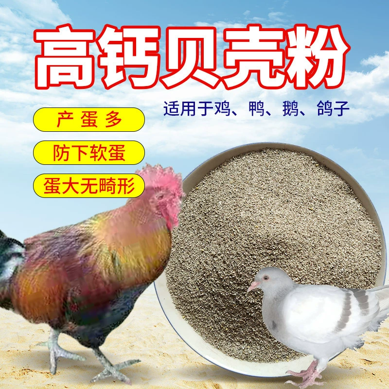 Корпусная пудра для кур, перепелов, уток, гусей, голубей и устричная пудра для перепелов для аквакультуры 50kg кормовая оболочка с высоким содержанием кальция.