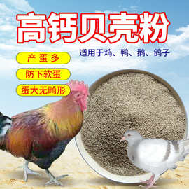贝壳粉鸡用芦丁鸡鸭鹅鸽鹌鹑牡蛎粉水产养殖100斤高钙粉饲料贝壳